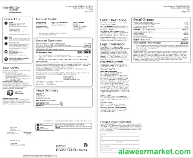 USA COLUMBIA GAS OF OHIO business utility bill Word and PDF template